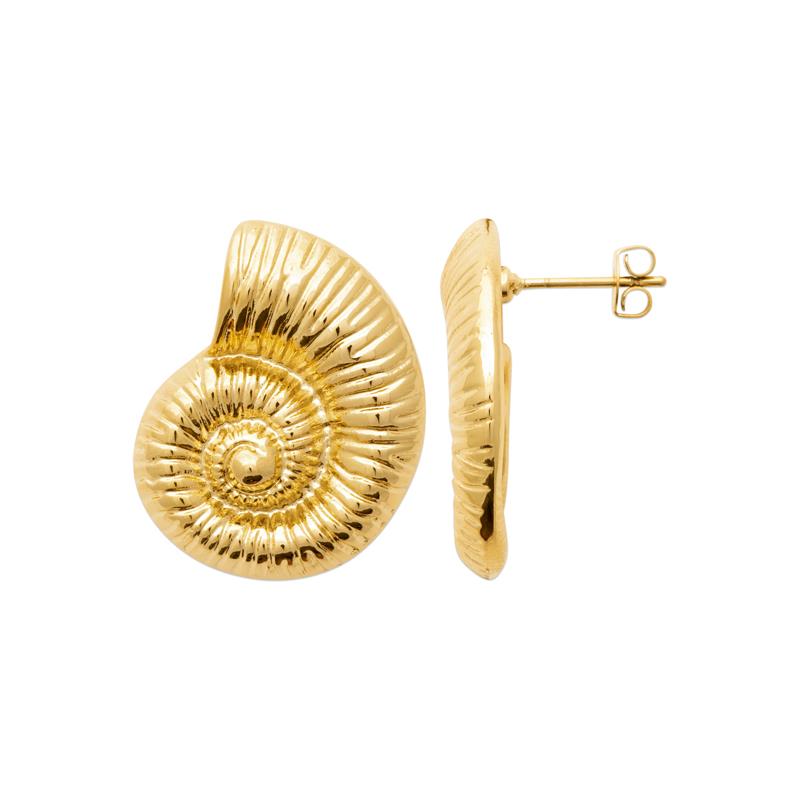 SHELL | Ohrstecker | Edelstahl