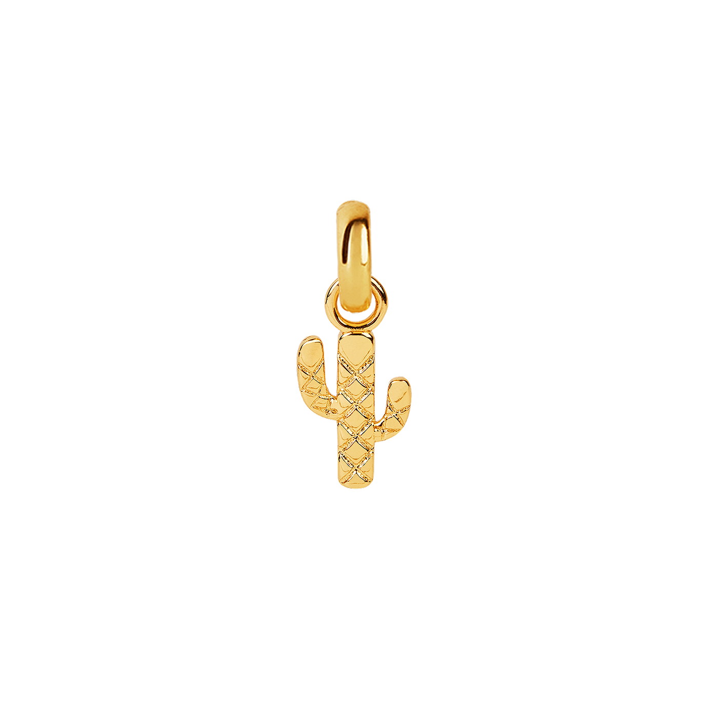 CACTUS PRICKLES CHARM | Anhänger