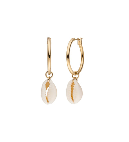 KAURI / Muschelkreolen