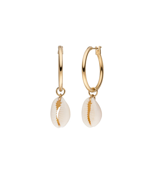 KAURI / Muschelkreolen