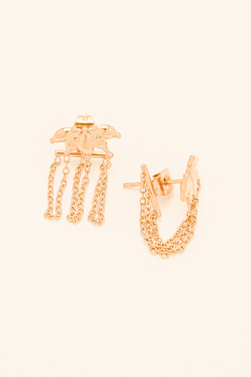 Puces Yogi | Kreolen